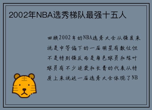 2002年NBA选秀梯队最强十五人